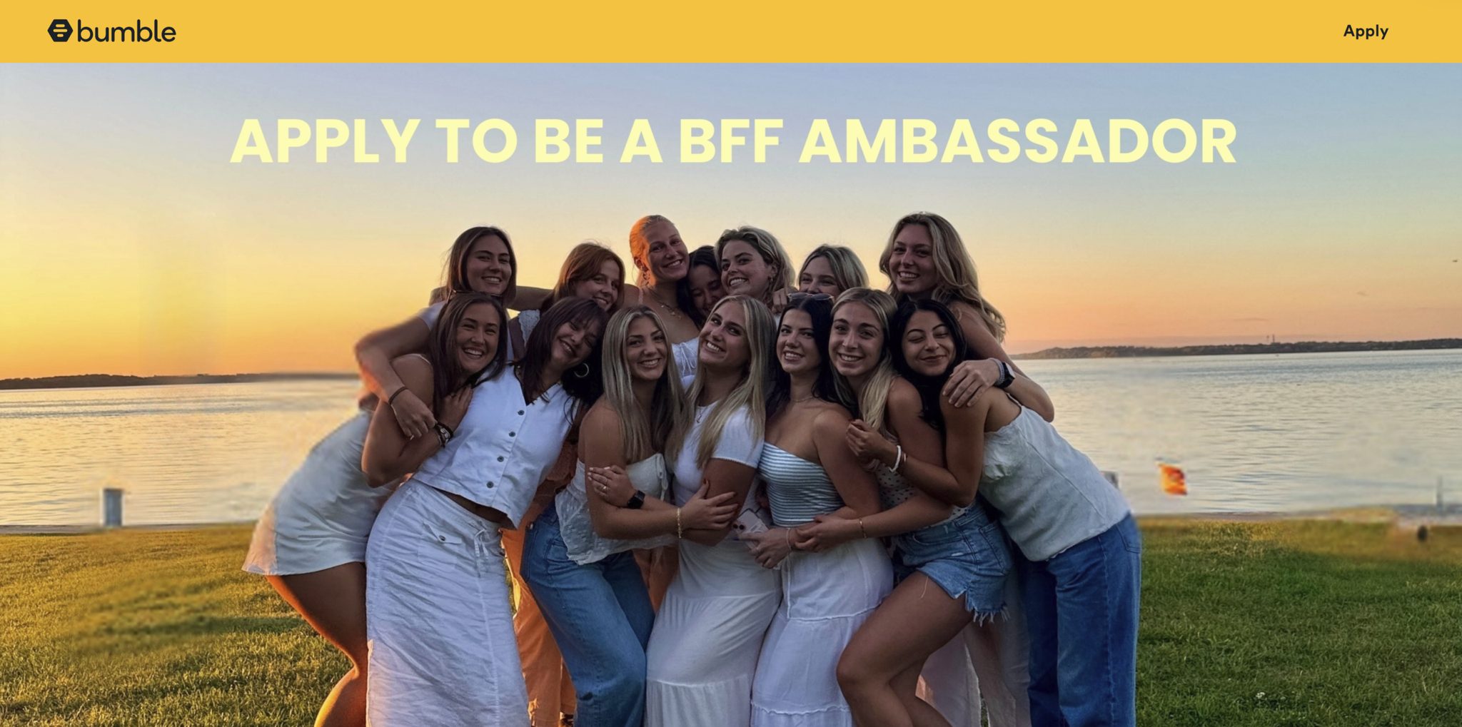 Bumble ambassador program - customer incentive strategies