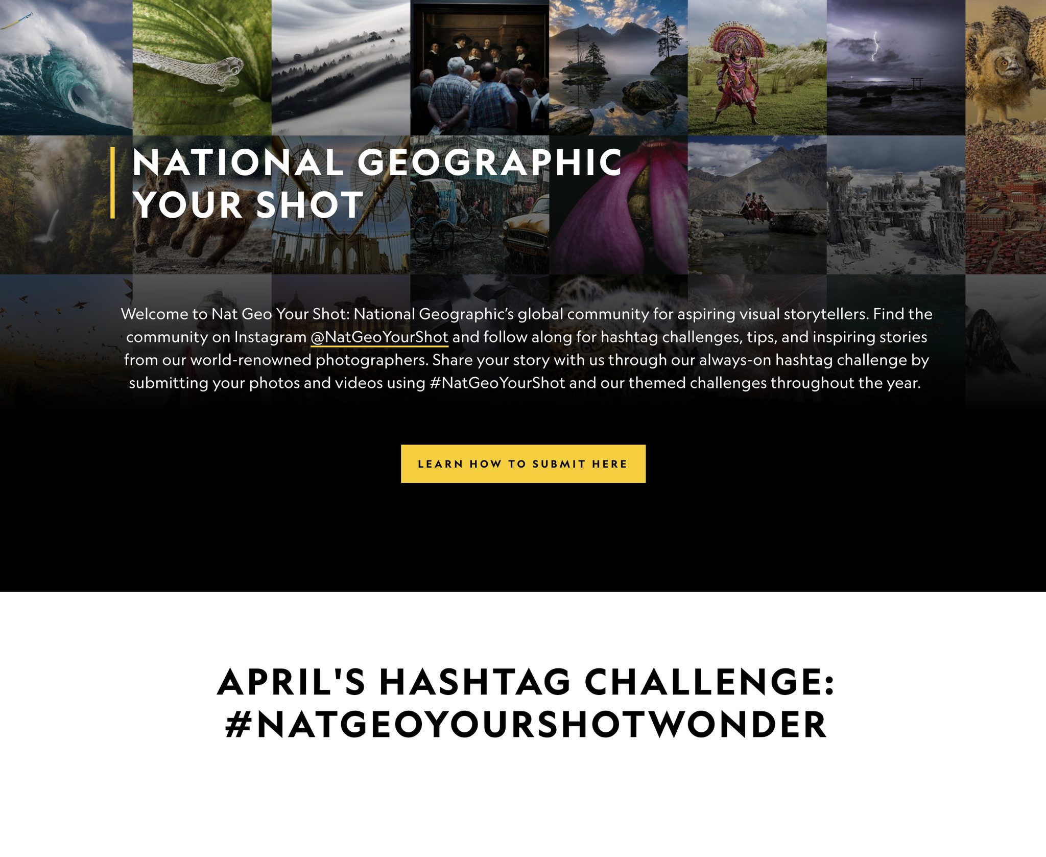 National Geographic social marketing campaign