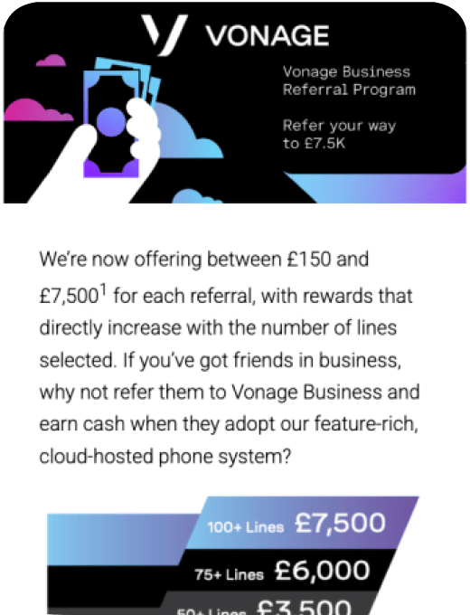 Business program showing a tiered reward structure in global currency